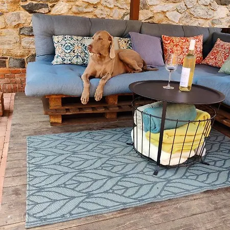 Pacovka בית הארחה