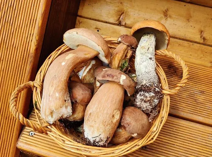 Pacovka